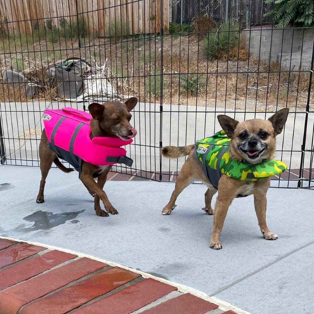 Thor (FF Dustin) — thumbnail 2