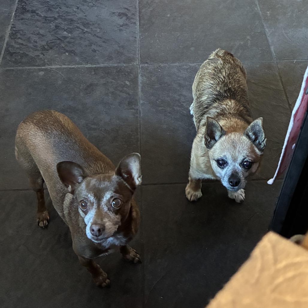 Thor (FF Dustin) — thumbnail 4