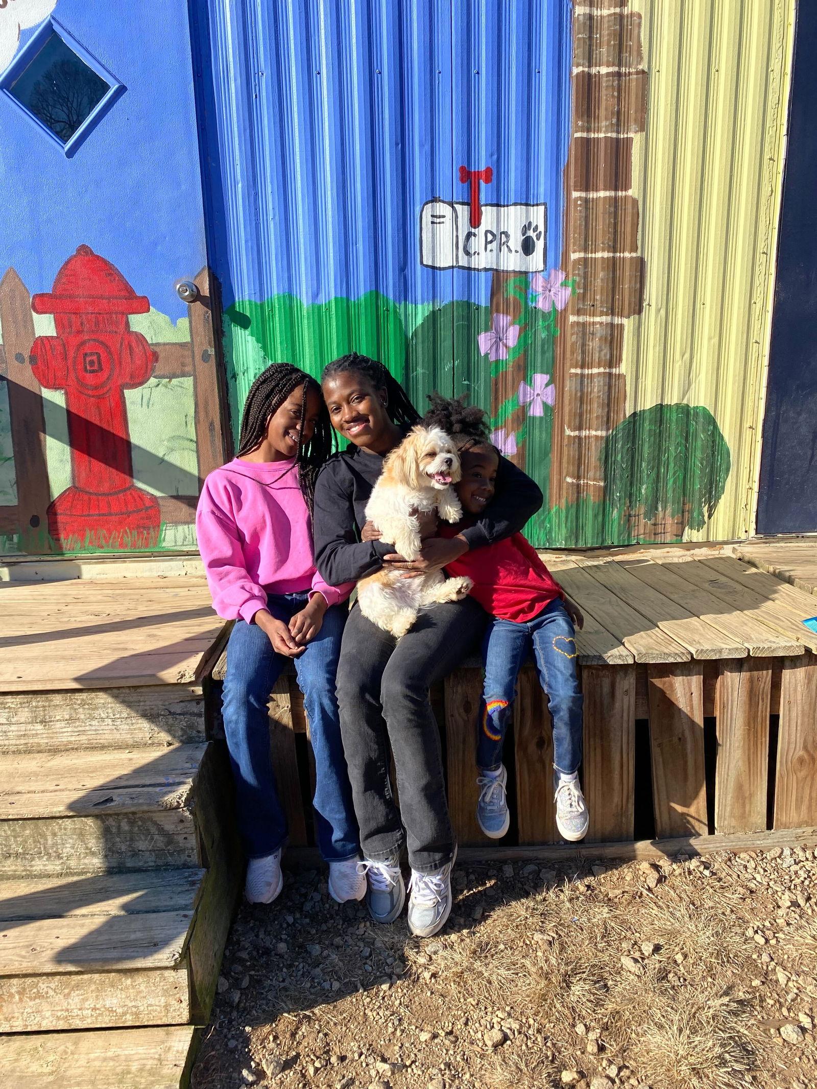 Kobe Jul 25, Adoptable, Adult Male Shih Tzu & Maltese.