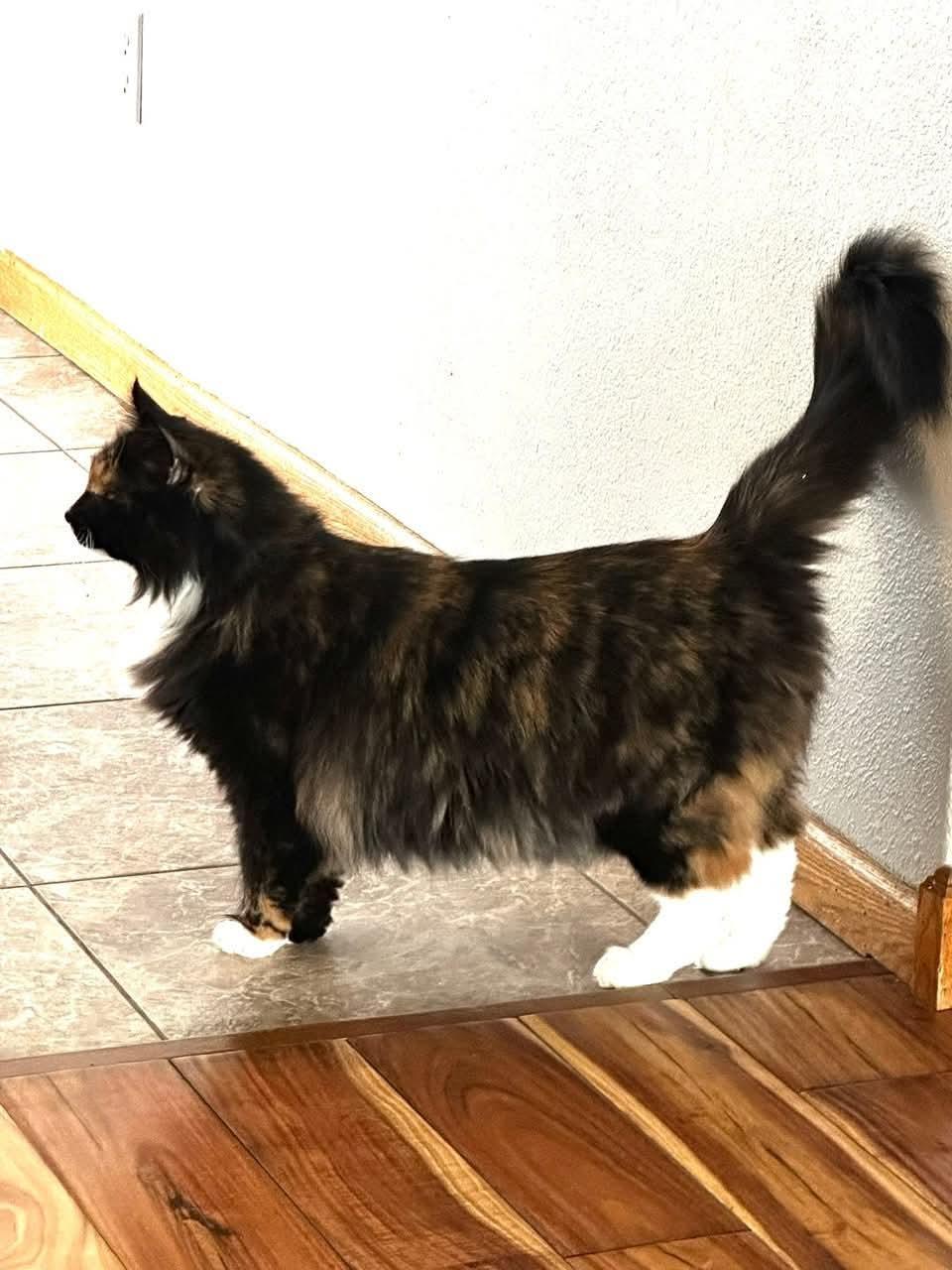 Barbara
