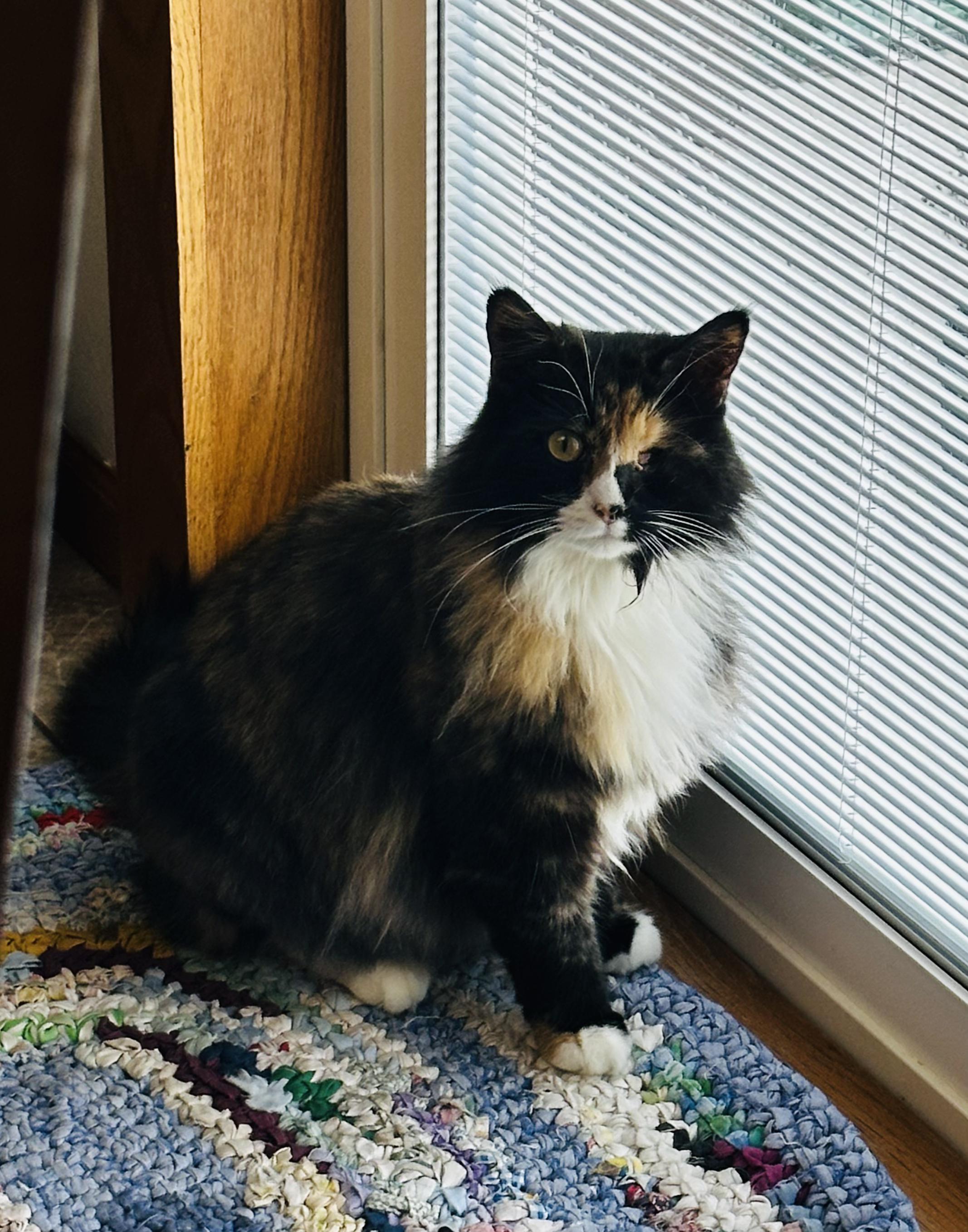 Barbara