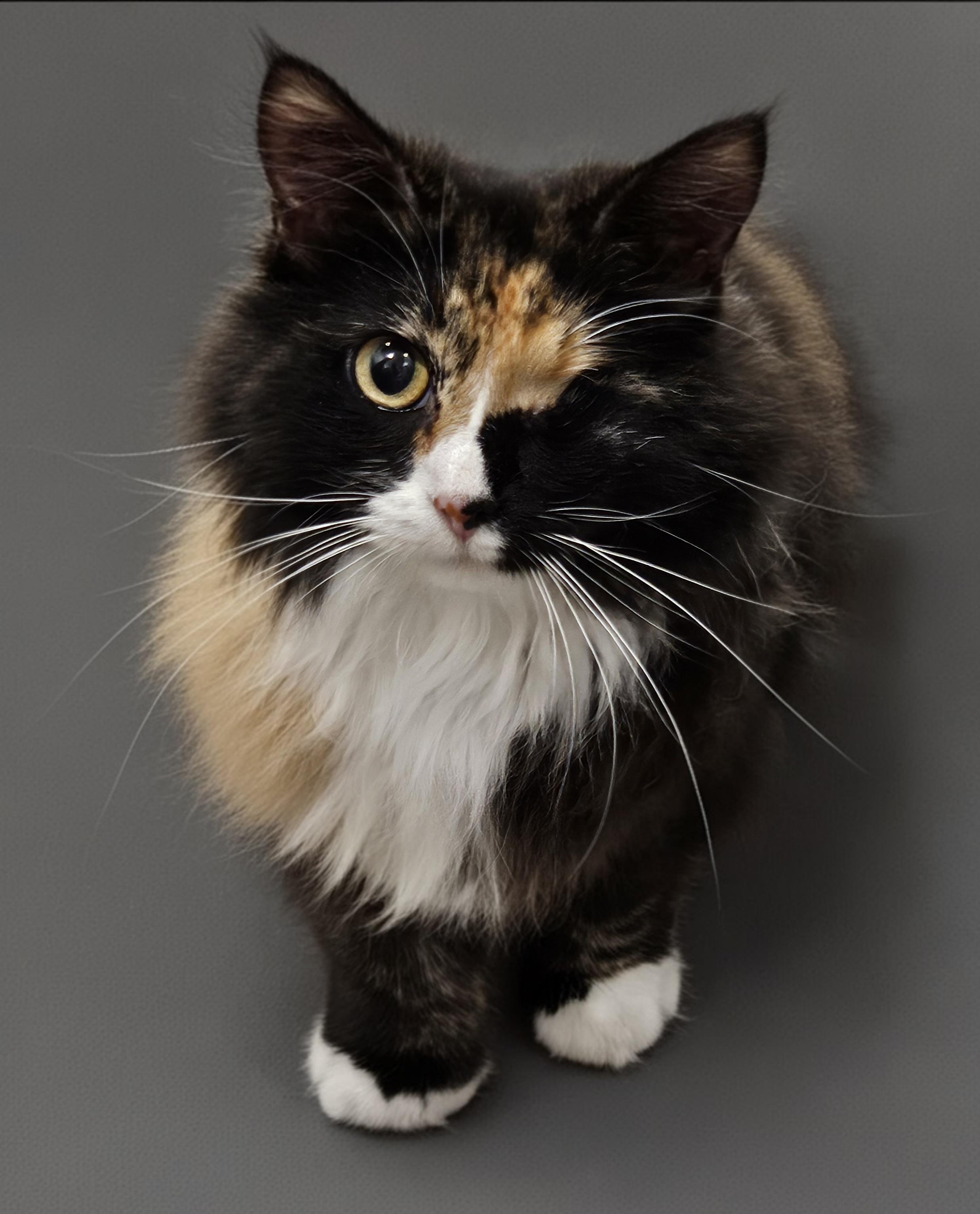 Barbara