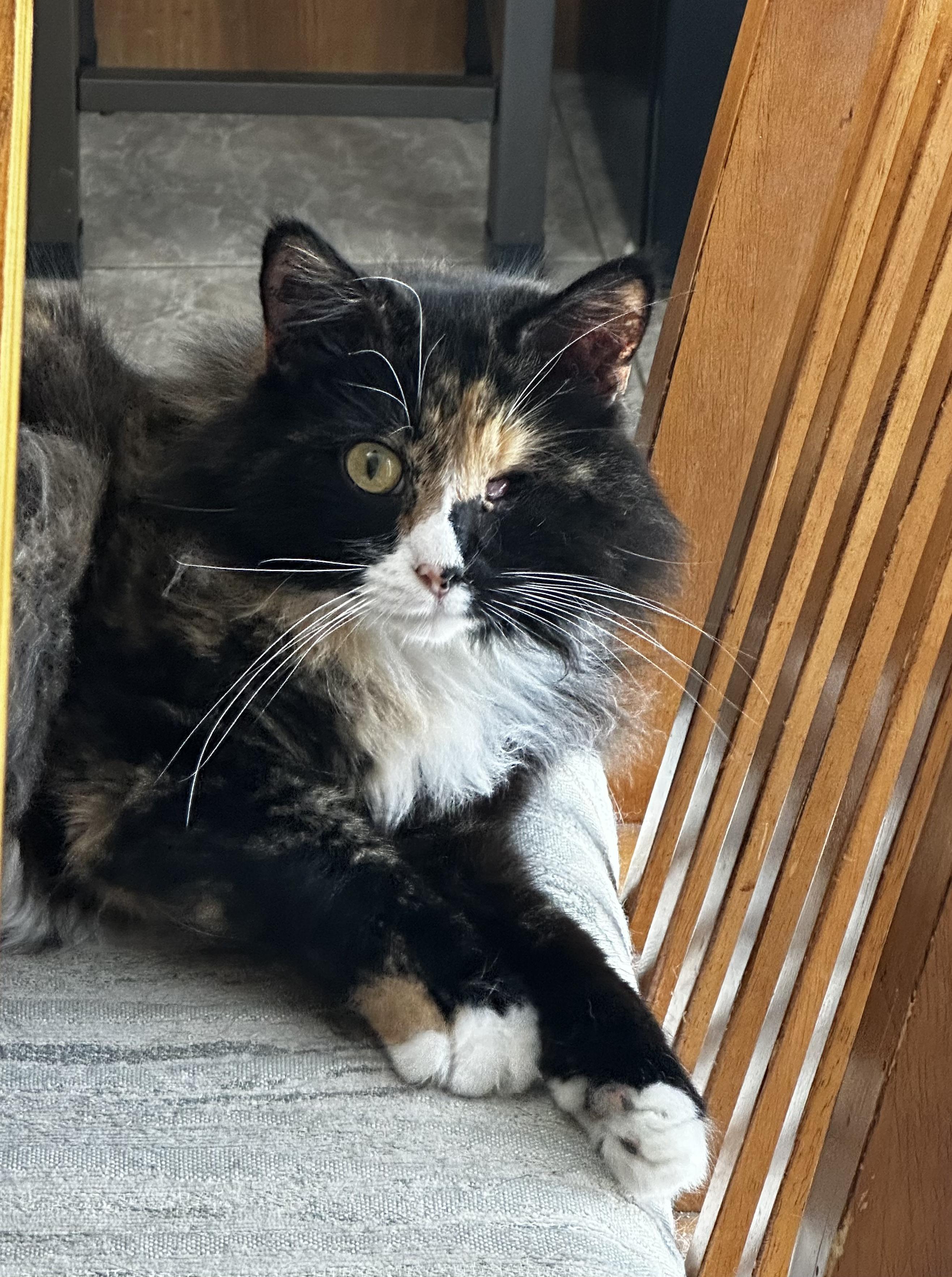 Barbara