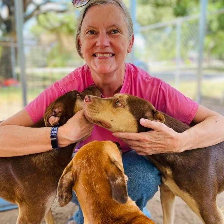 Rugby, a Adoptable mixed breed in Goliad, TX image 1/11