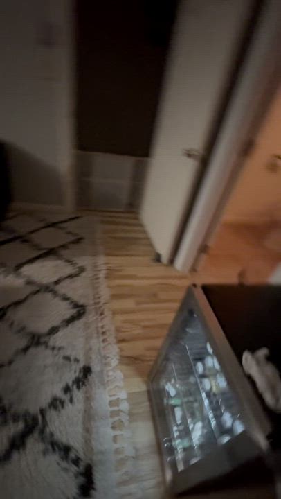 Enlarge GEORGE, a Adoptable mixed breed in San Diego, CA video 2/5