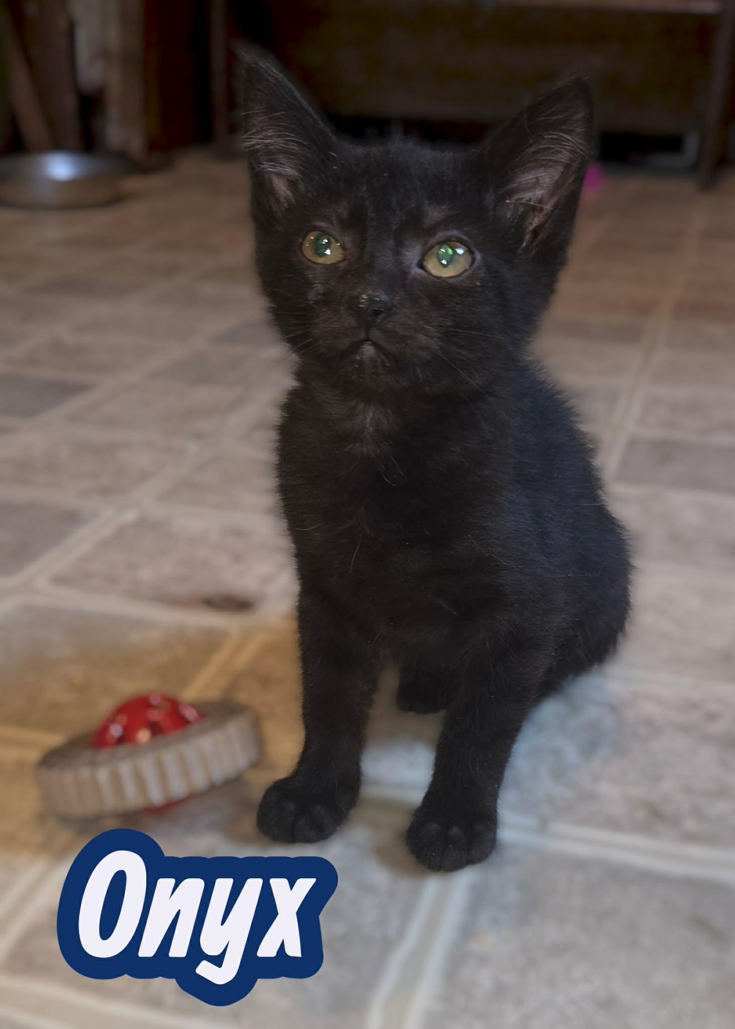 Onyx photo