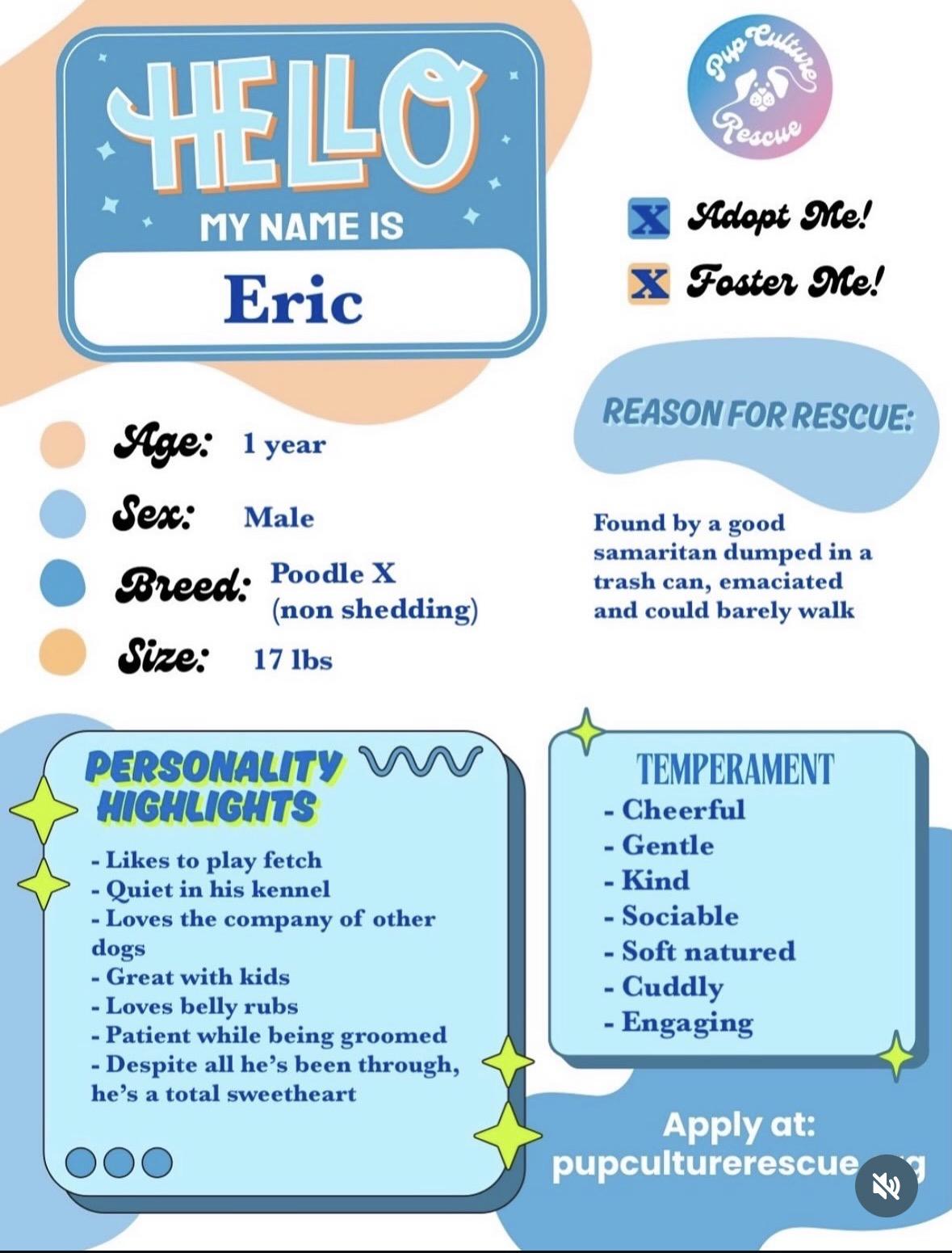 Enlarge Eric, a ADOPTABLE mixed breed in Pasadena, CA image 2/5