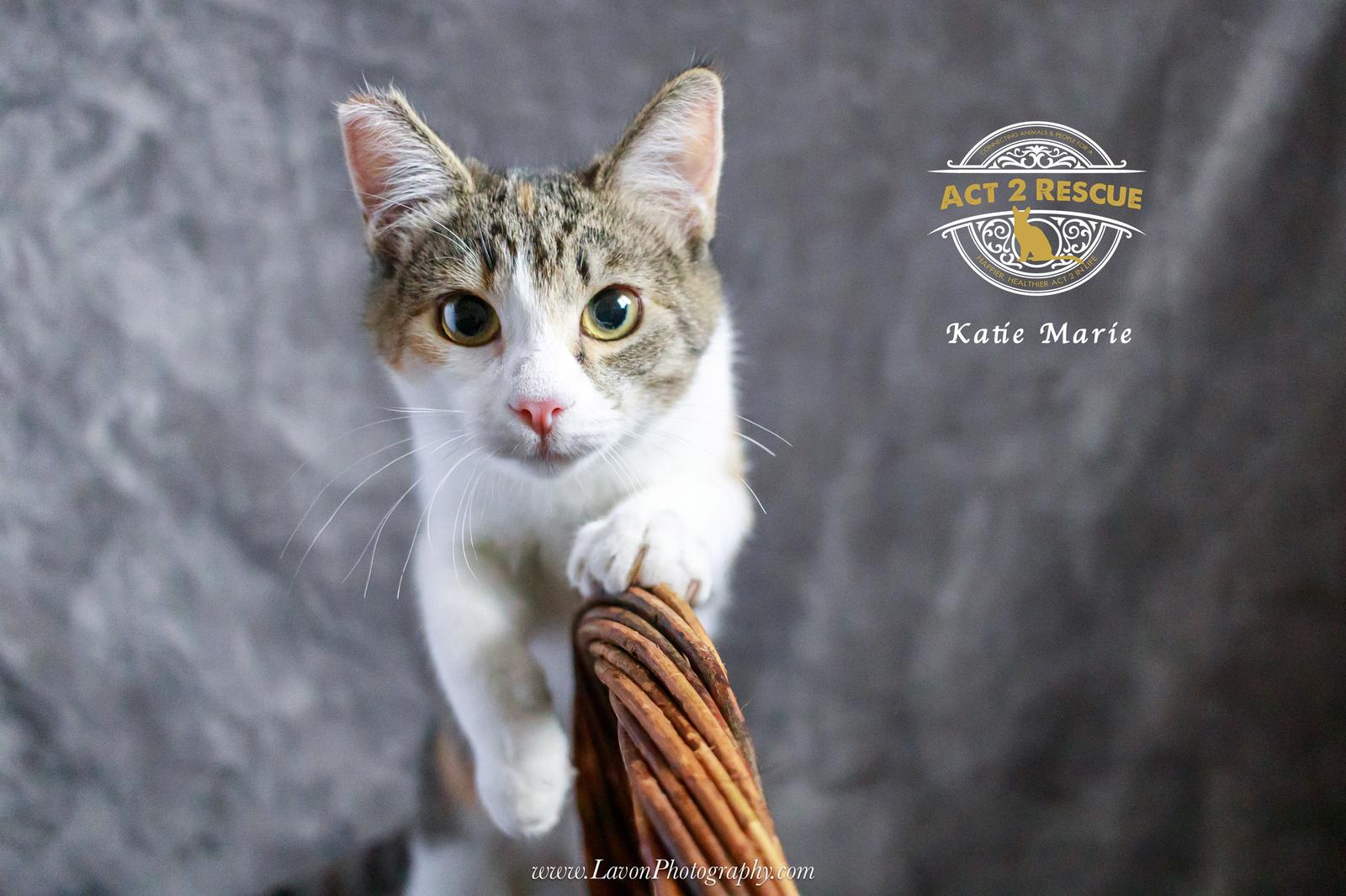 Katie Marie — thumbnail 2