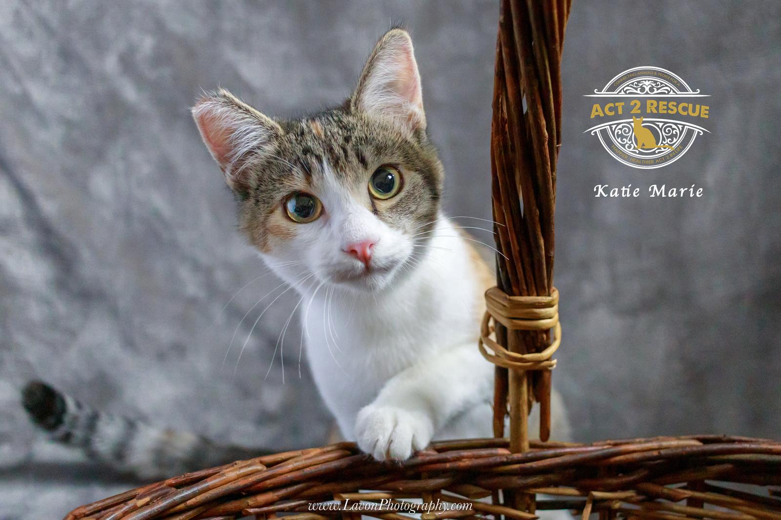 Katie Marie — thumbnail 3