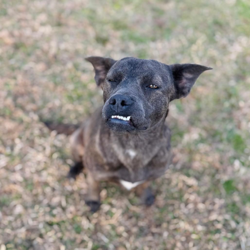 Cloe — thumbnail 2