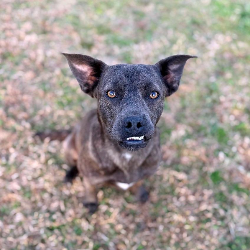 Cloe — thumbnail 3