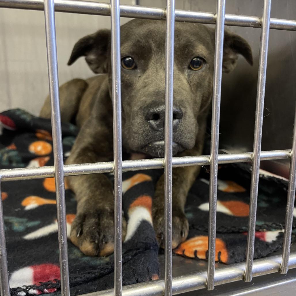 Cloe — thumbnail 5