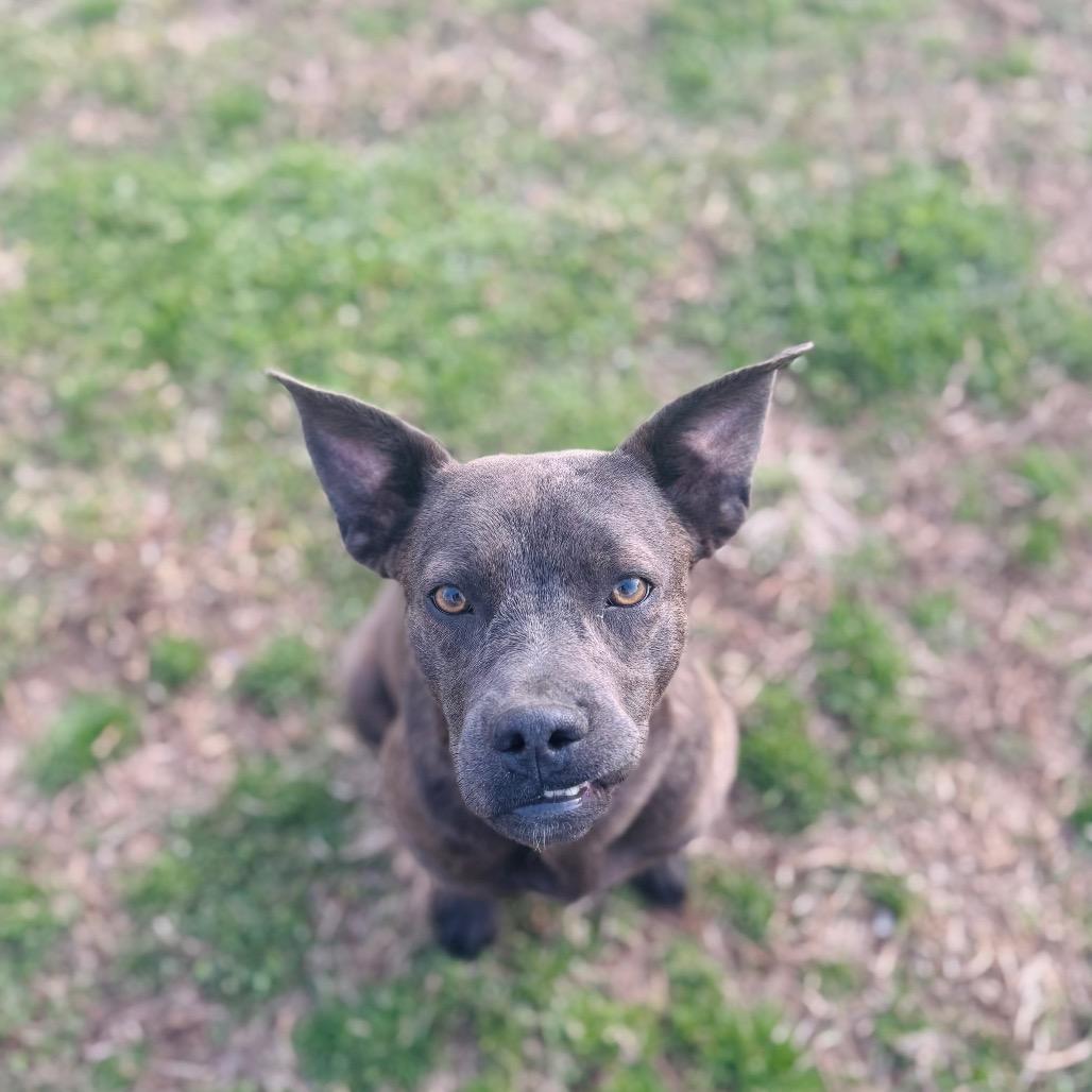 Cloe — thumbnail 6