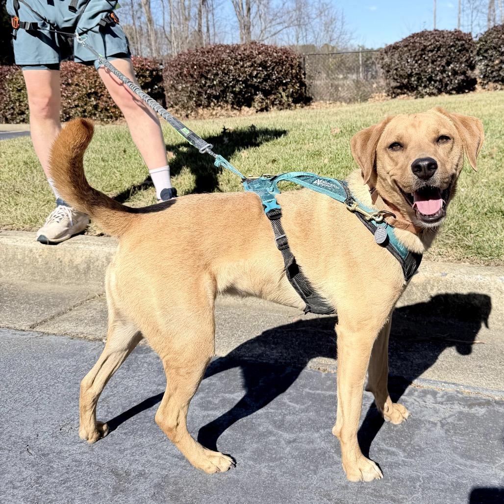 Lucky 21106 — thumbnail 3