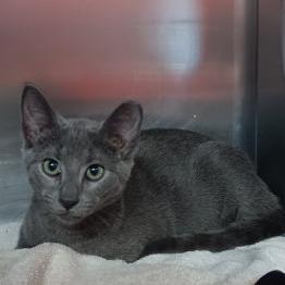 Walt — thumbnail 2