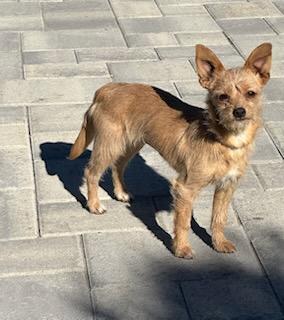 Stella And Bella Norwich thumbnail 2