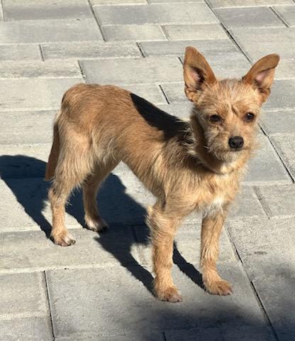 Stella And Bella Norwich thumbnail 3