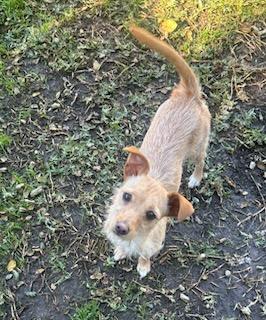 Stella And Bella Norwich thumbnail 4