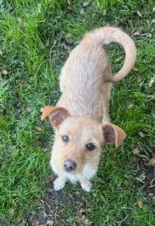 Stella And Bella Norwich thumbnail 5