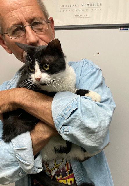 Doug, a Adopted mixed breed in Macedonia, OH image 2/3