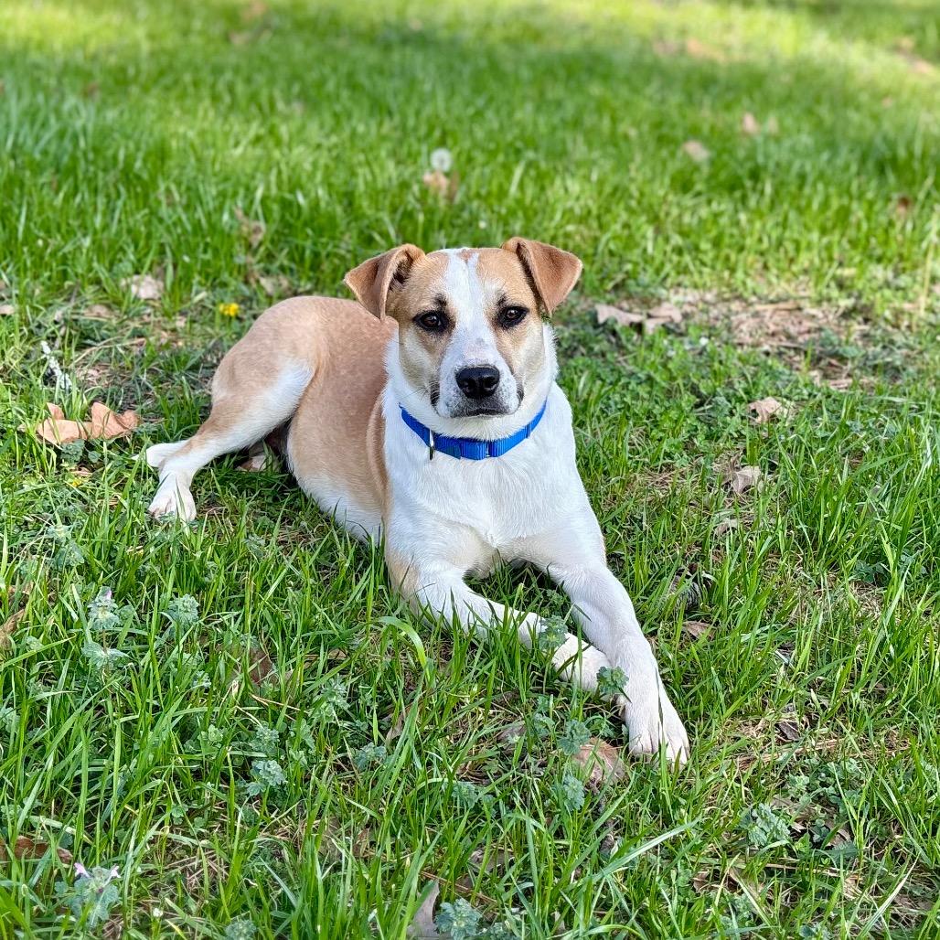 Molly — thumbnail 2