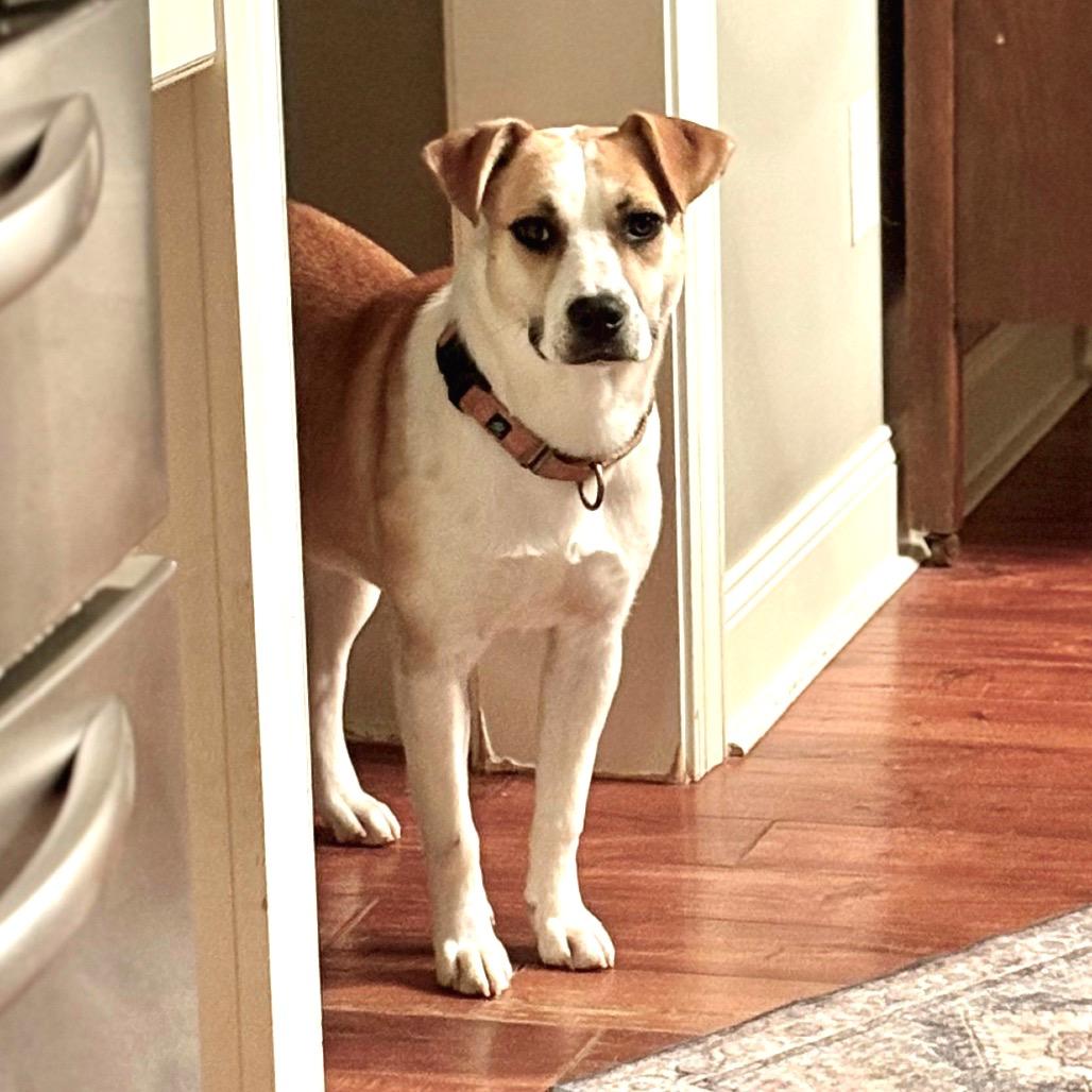 Molly — thumbnail 3