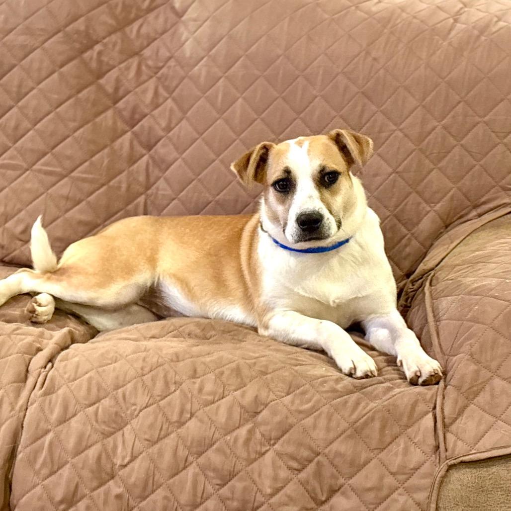 Molly — thumbnail 4