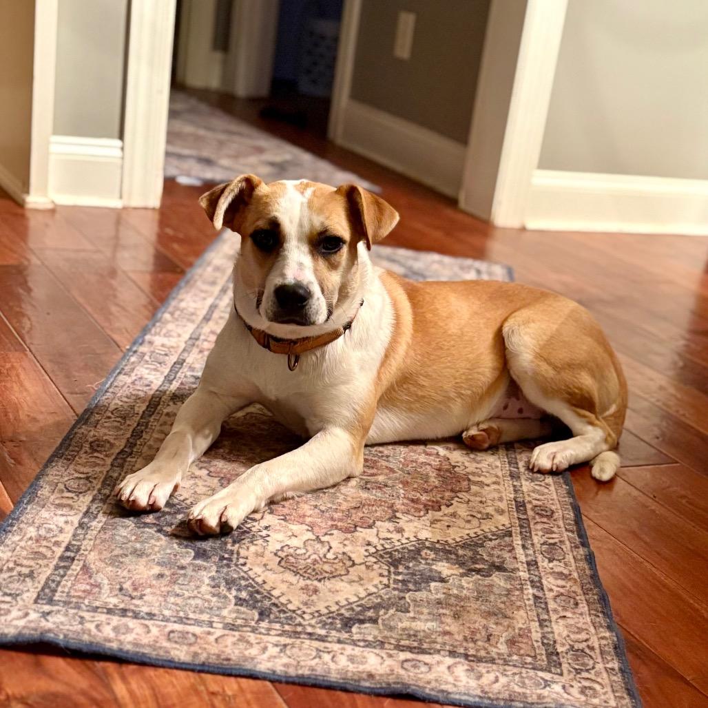 Molly — thumbnail 5