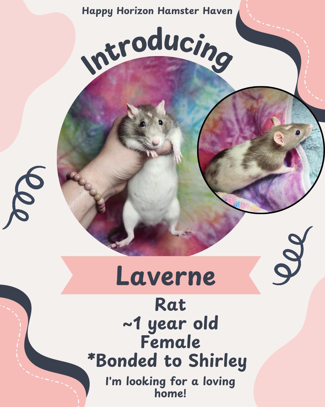 Laverne and Shirley
