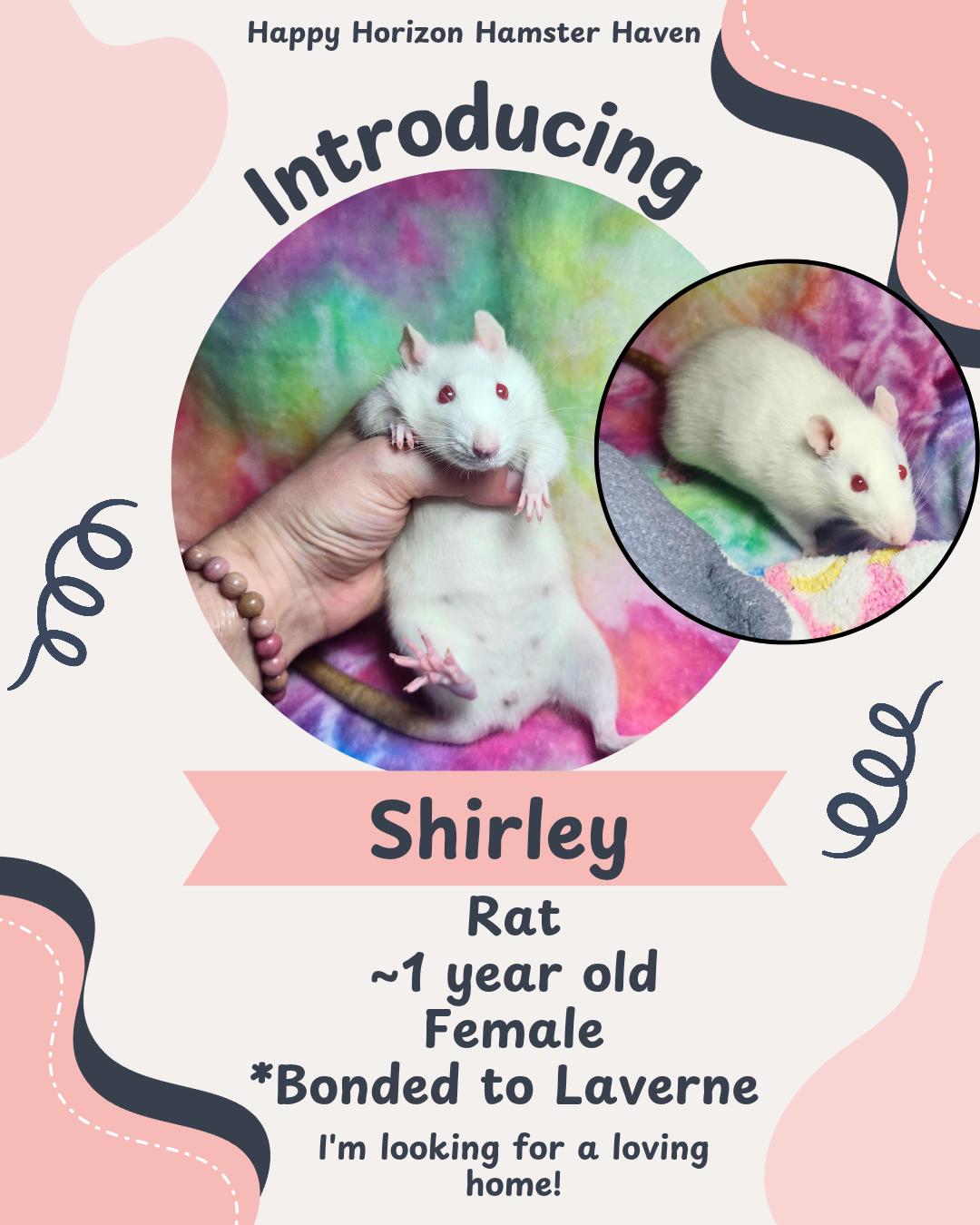 Laverne and Shirley