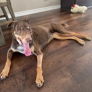 Alexa — thumbnail 5