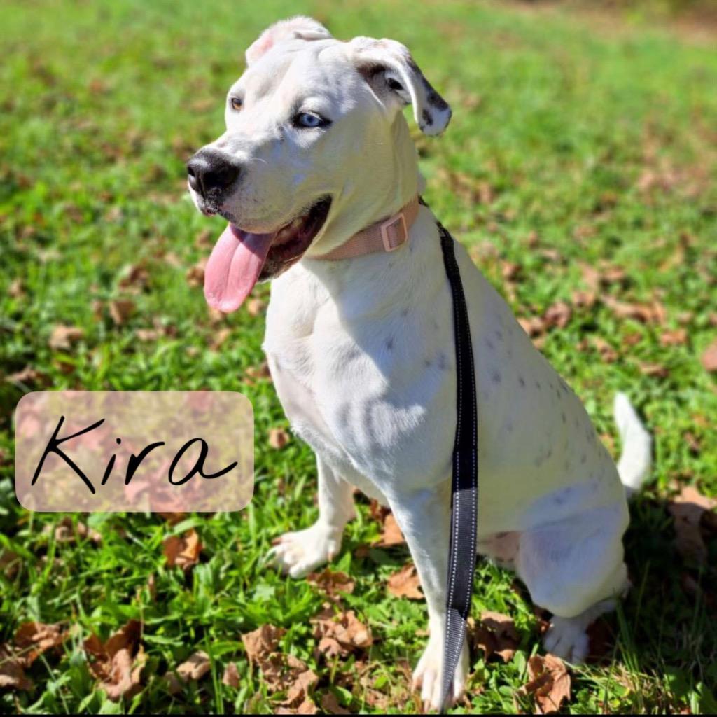 Kira photo