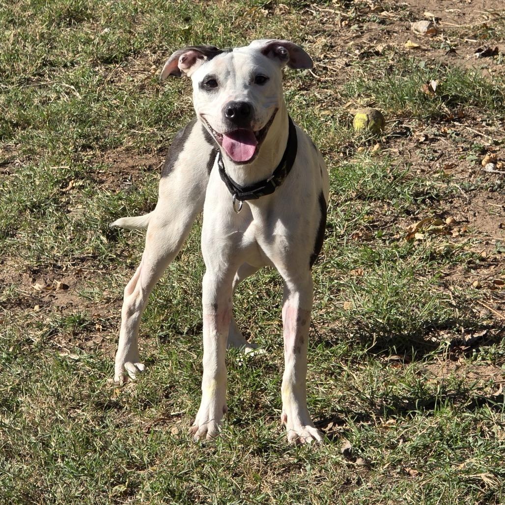 Thanksgiving thumbnail 2