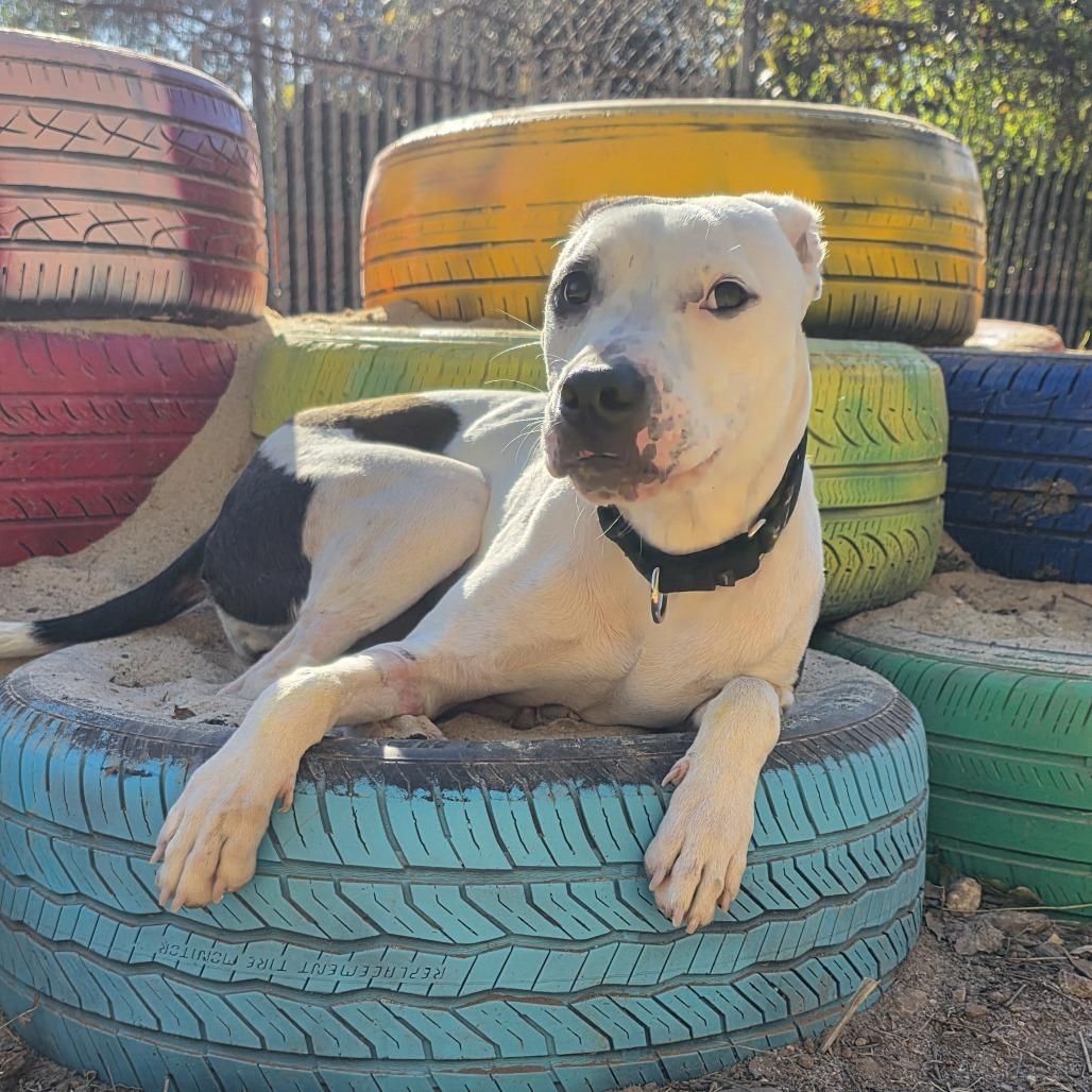 Thanksgiving thumbnail 3