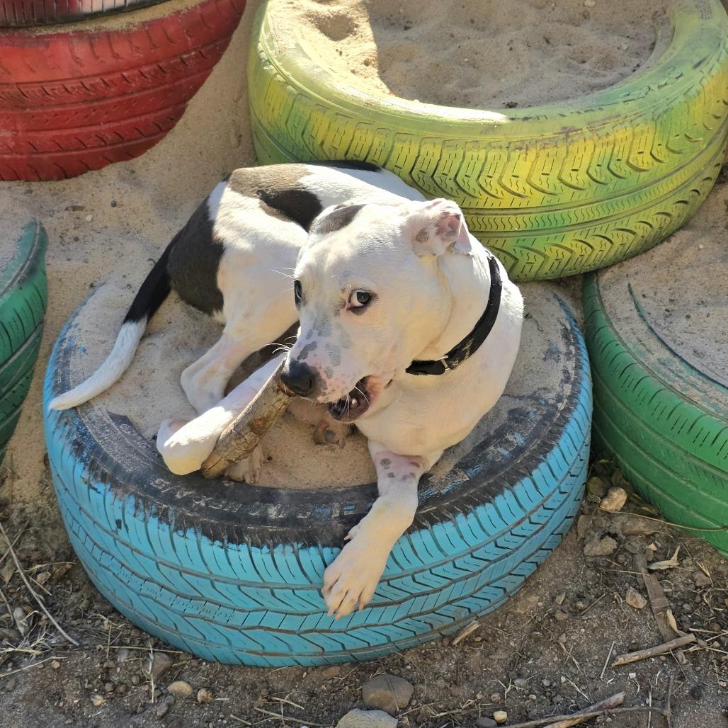 Thanksgiving thumbnail 4