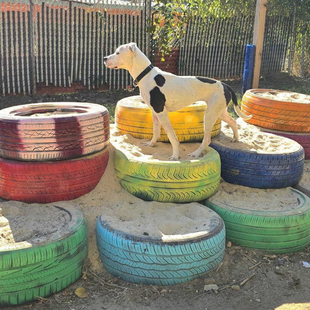 Thanksgiving thumbnail 5