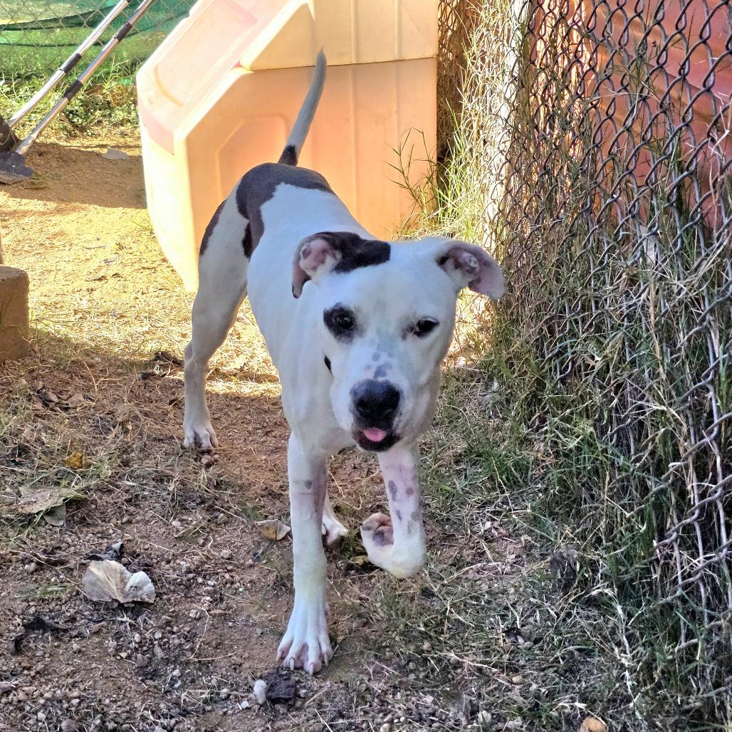 Thanksgiving thumbnail 6