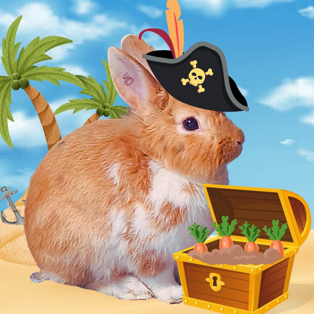 Enlarge Pastizz "Pasta", a Adoptable Bunny Rabbit in West Olive, MI image 2/6