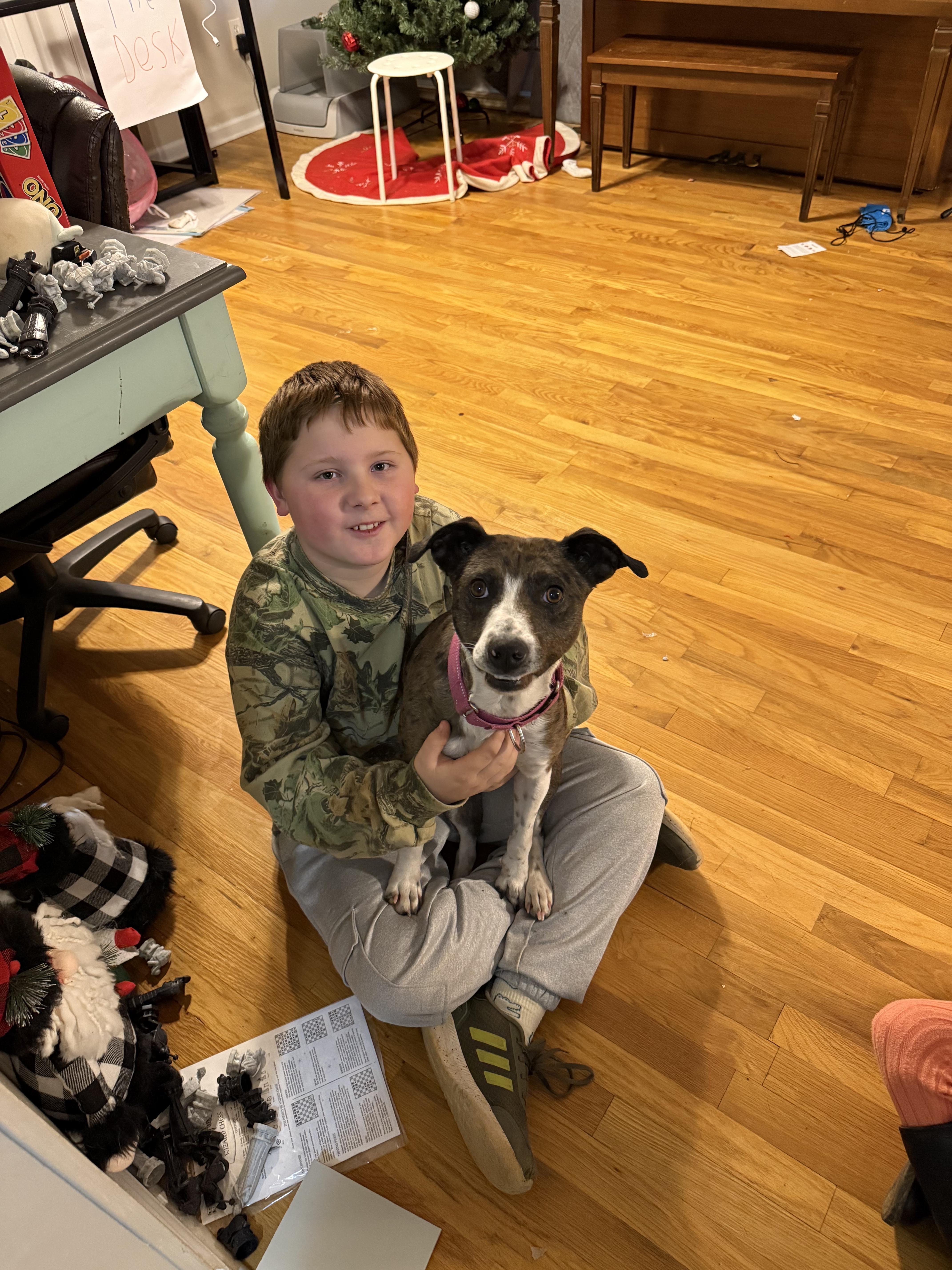 Enlarge Trixie , a ADOPTABLE mixed breed in Harrisburg, PA image 5/6