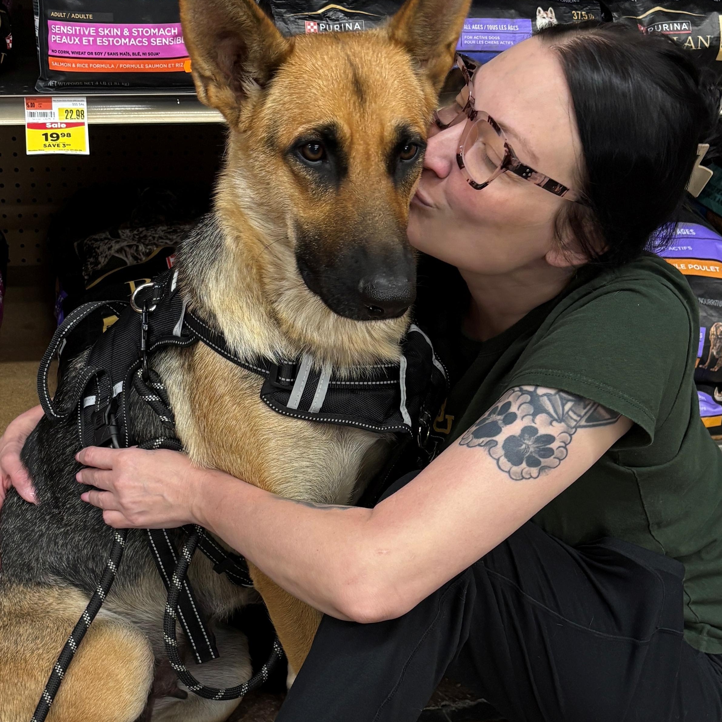Leche, a ADOPTABLE German Shepherd Dog in Dallas, TX image 3/6