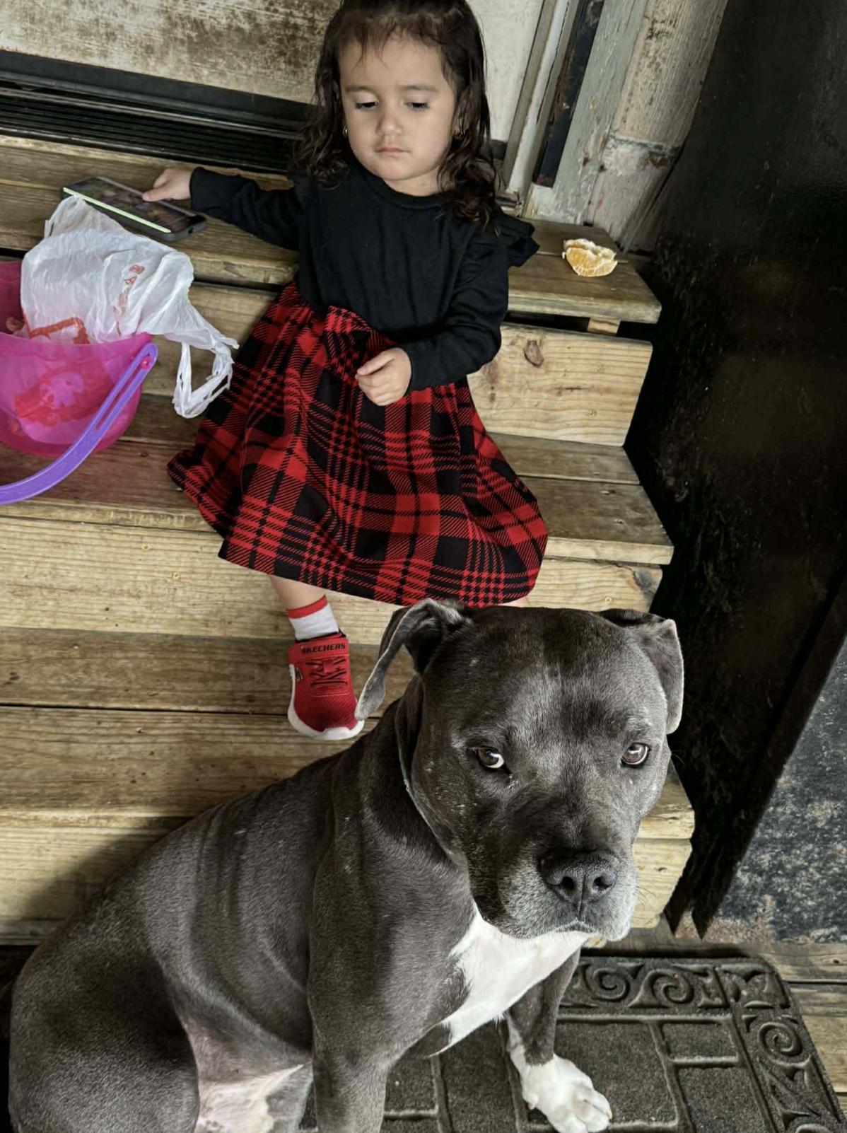 Sanson — thumbnail 2