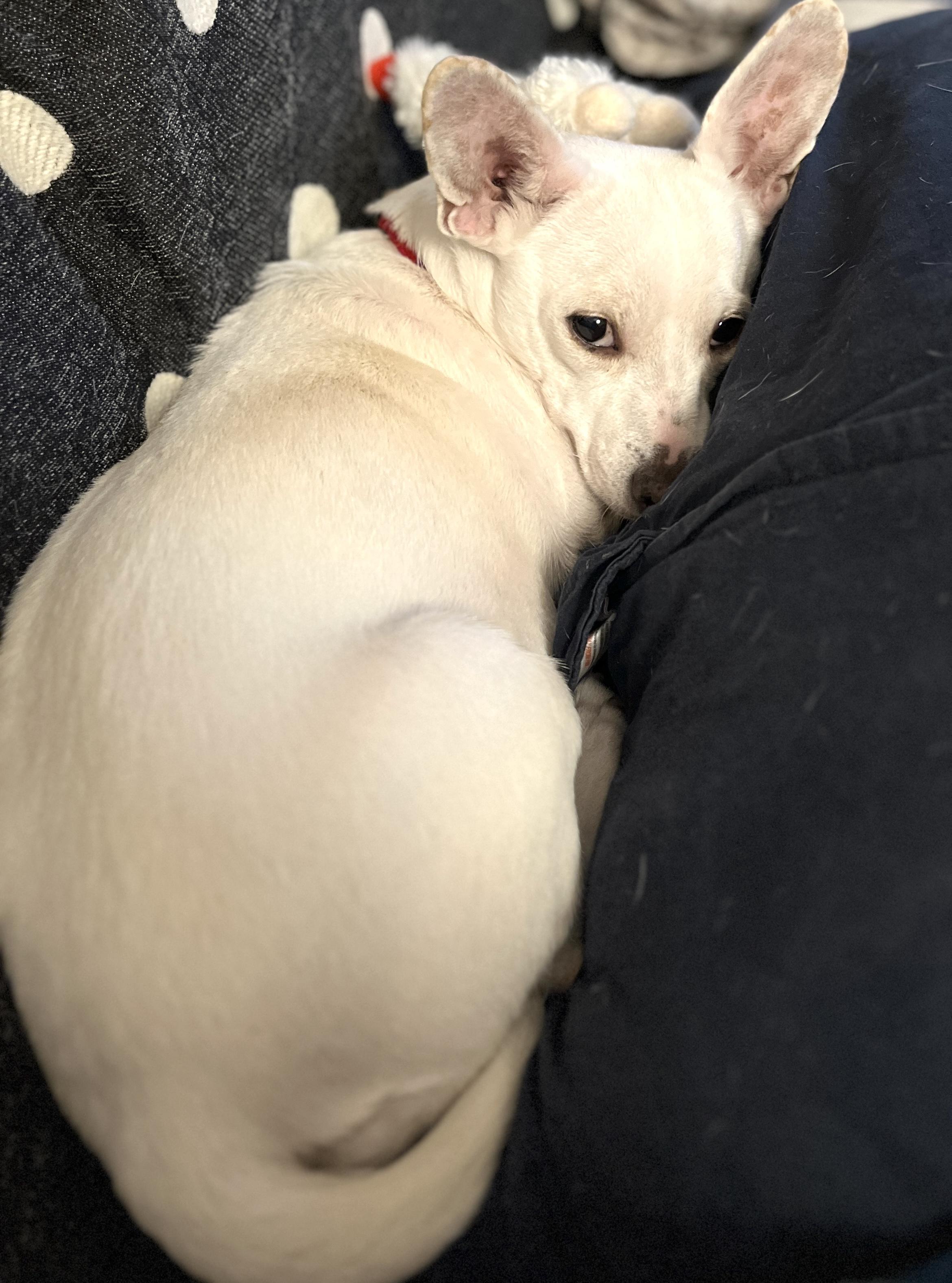 Southern thumbnail 3