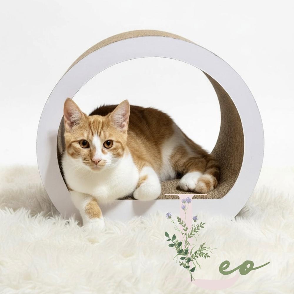 Leo and Louie — thumbnail 2