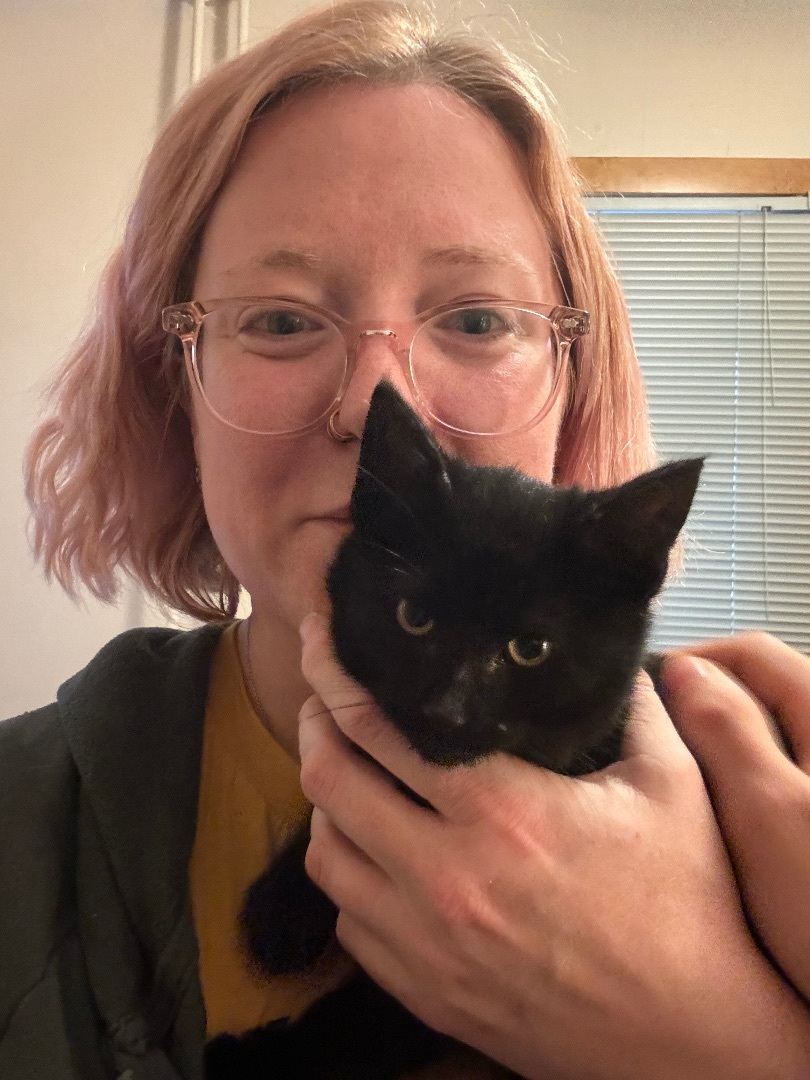 Spooky, a Adopted Domestic Short Hair in Waseca, MN image 2/3