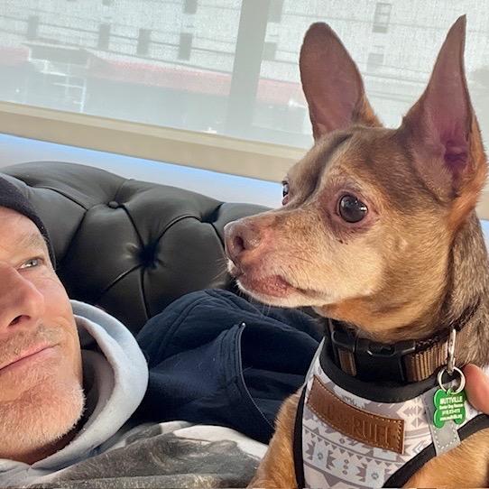 Enlarge Turtle 13705, a Adoptable Chihuahua in San Francisco, CA image 3/6