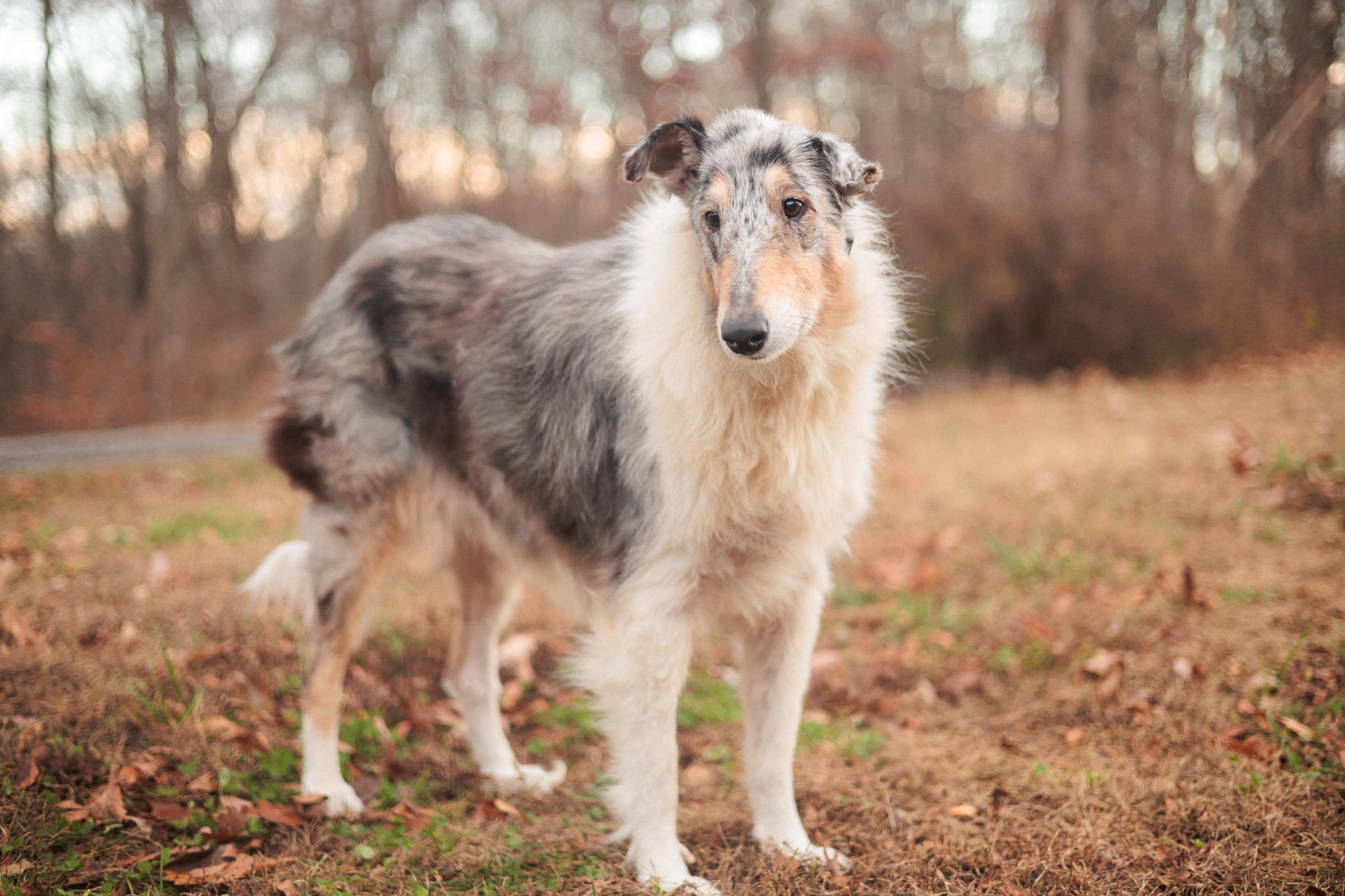 Roxy Grace - Transport — thumbnail 3