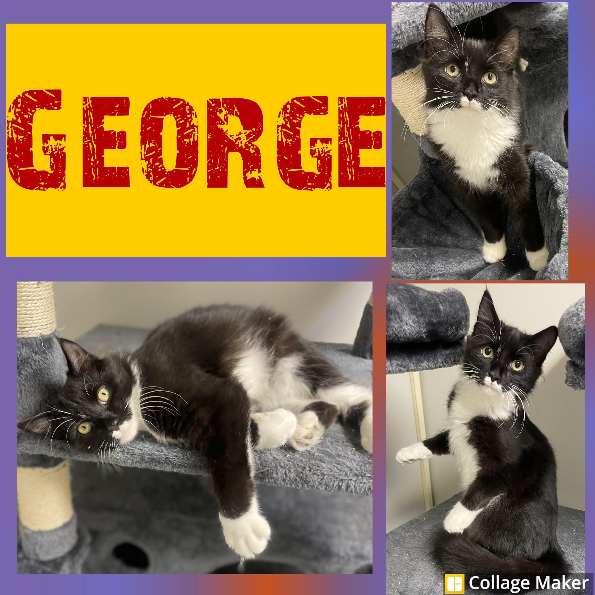 George