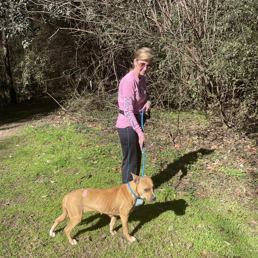 Glam Rock 8850 — thumbnail 2