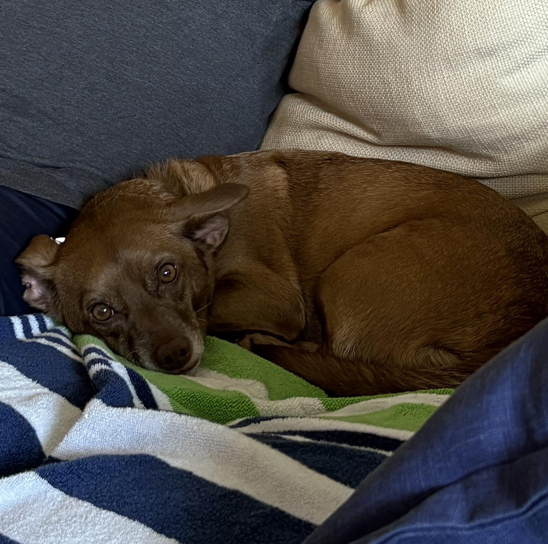 Dukie photo 2