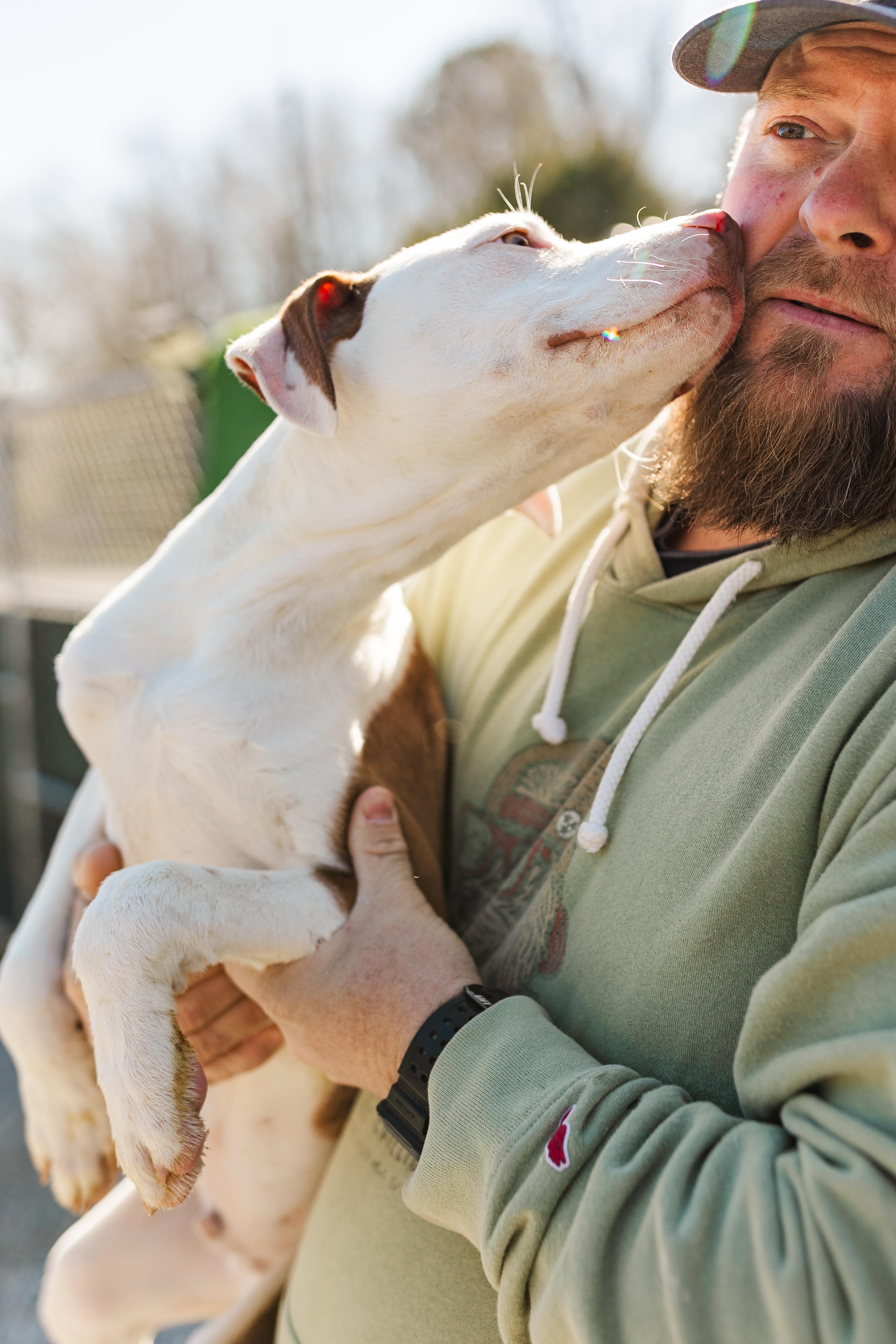 Enlarge Finley, an adopted Mixed Breed in Manchester, TN image 3/3